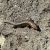 img_2354-1.jpg